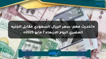 «تحديث مهم: سعر الريال السعودي مقابل الجنيه المصري اليوم الأربعاء 7 مايو 2025»